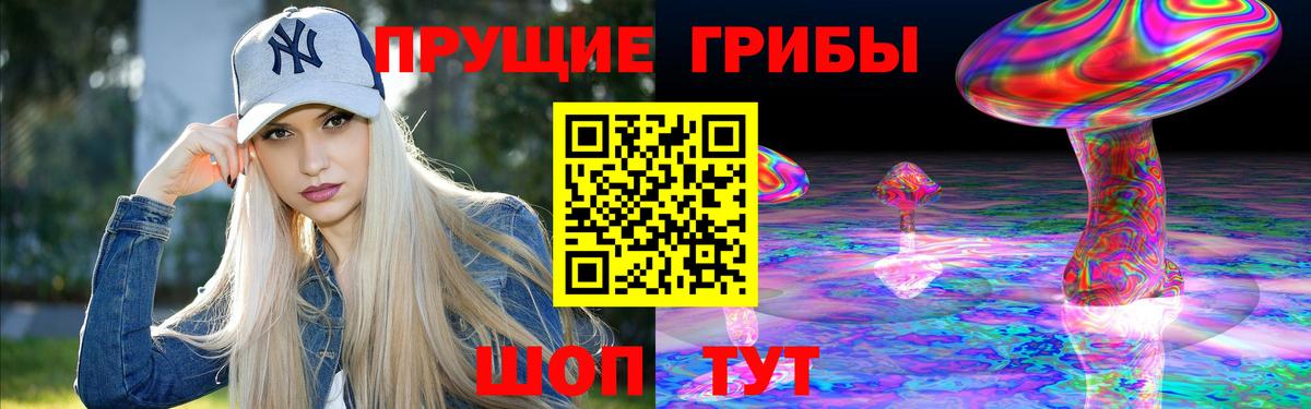 Шелехов  Галлюциногенные грибы Psilocybine cubensis  Вход с VPN 